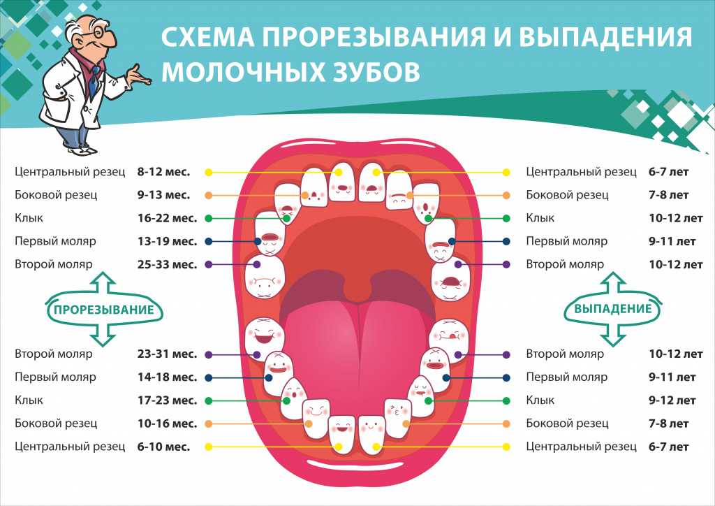 Нужно ли лечить молочные зубы у ребенка? - блог денталюкс
