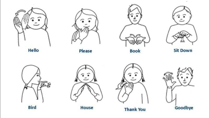 Как общаться с ребёнком с помощью жестов. чудо-ребёнок с самых пелёнок. пошаговая методика развития ребёнка с рождения до года