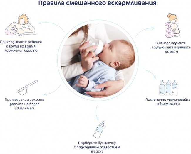 Вскармливание недоношенных детей: виды и сроки введения прикорма | nutrilak