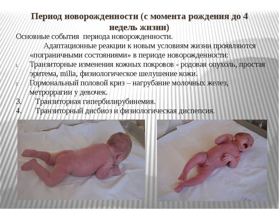 Календарь развития ребенка 2-го месяца жизни (что умеет ребенок в 2 месяца?) - ✿ «всё для мамы»