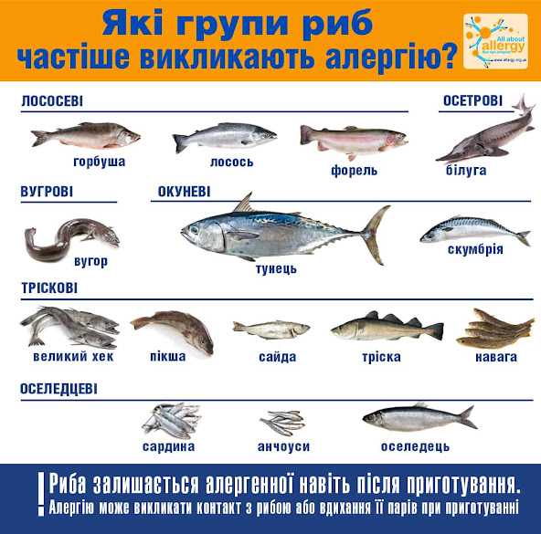 Рыба и морепродукты в детском питании - польза и сроки введения