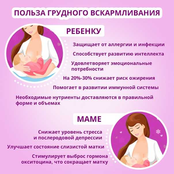 Энциклопедия грудного вскармливания: все, что нужно знать маме новорожденного