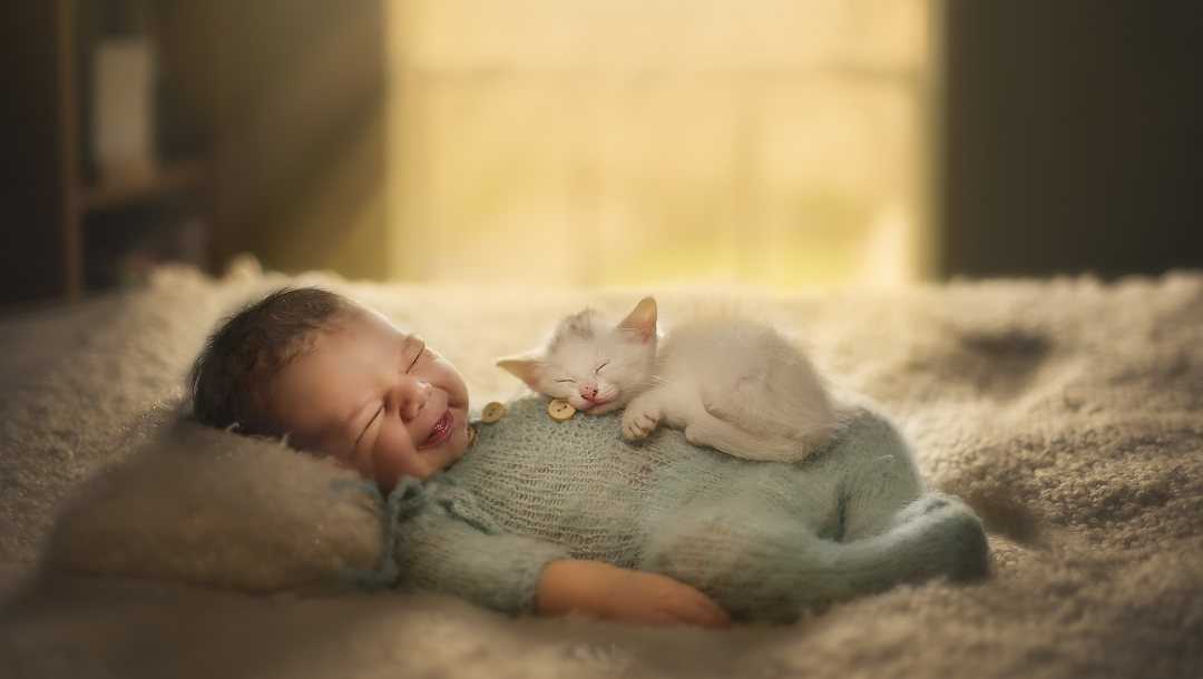 Новорожденный ребенок и кошка – радость или головная боль?