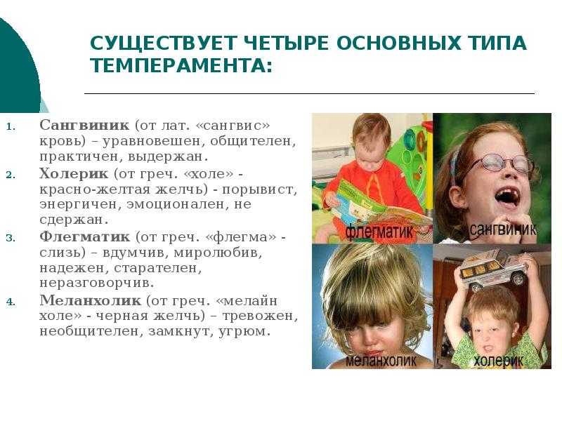 Детский темперамент и особенности воспитания