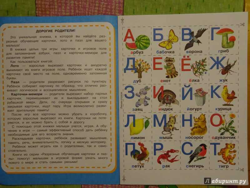 Как научить ребенка алфавиту в домашних условиях: 10 игр для легкого обучения