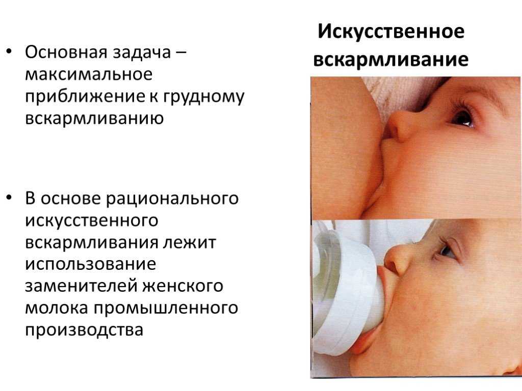 Как наладить грудное вскармливание после родов | кормление по требованию или по часам: как часто и до какого возраста