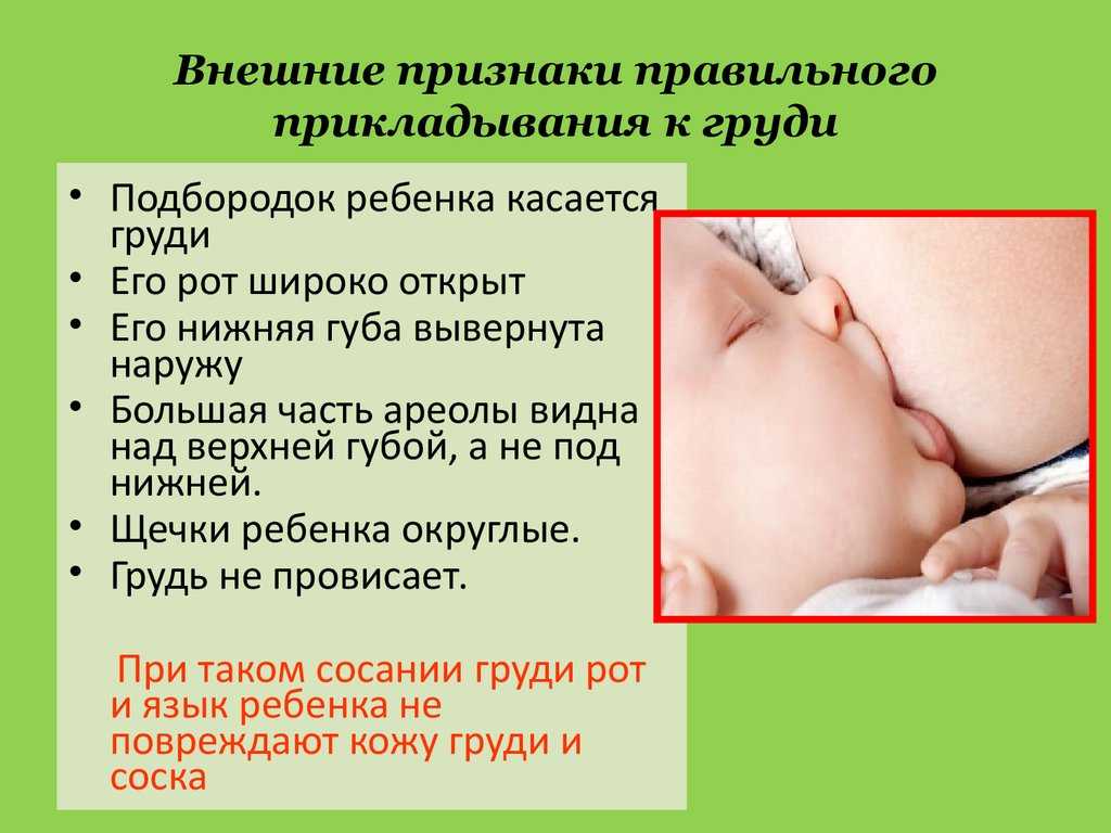 Как наладить грудное вскармливание после родов