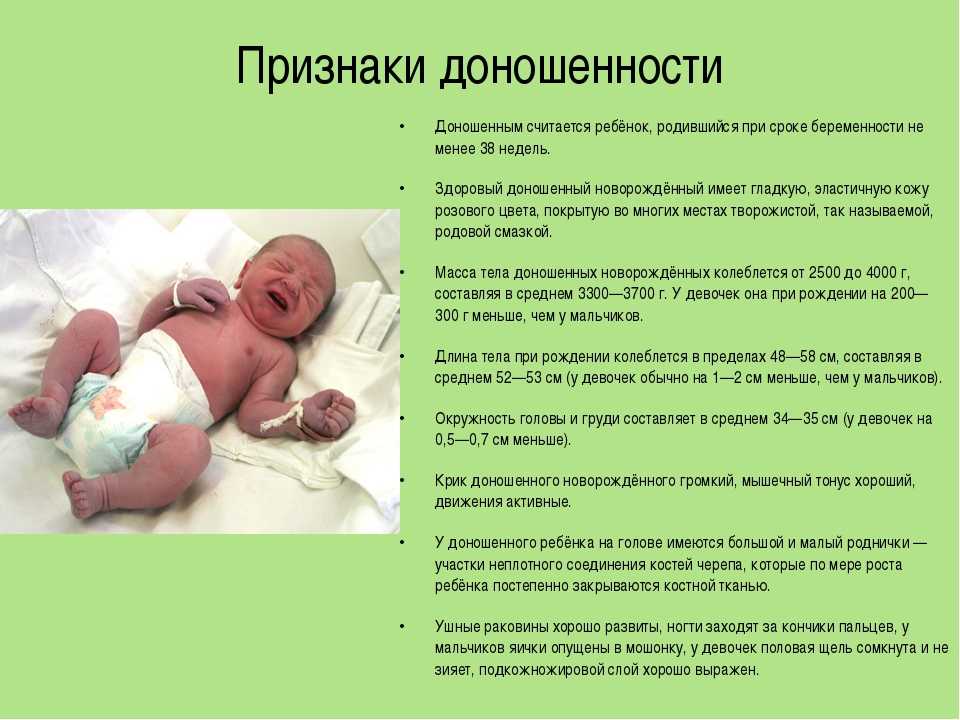 Развитие новорожденного малыша по неделям