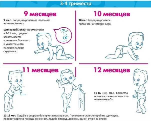 Седьмой месяц. календарь развития ребенка | kukuzya.ru