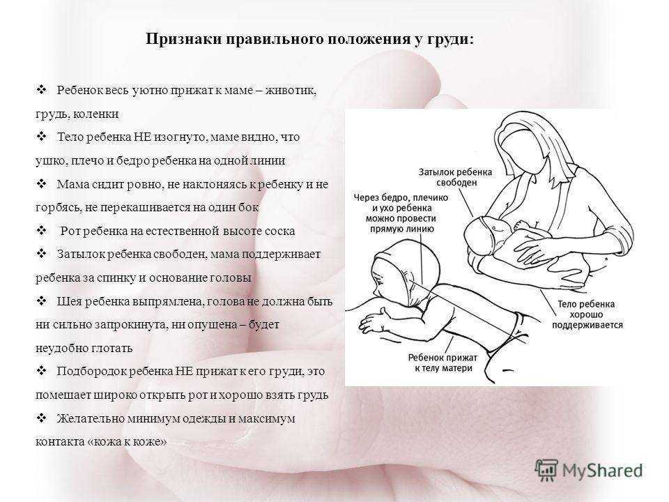 Как организовать грудное вскармливание: рекомендации консультантов и советы кормящих мам