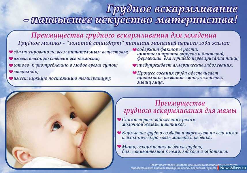 В чем польза грудного вскармливания и молока для ребенка и матери?