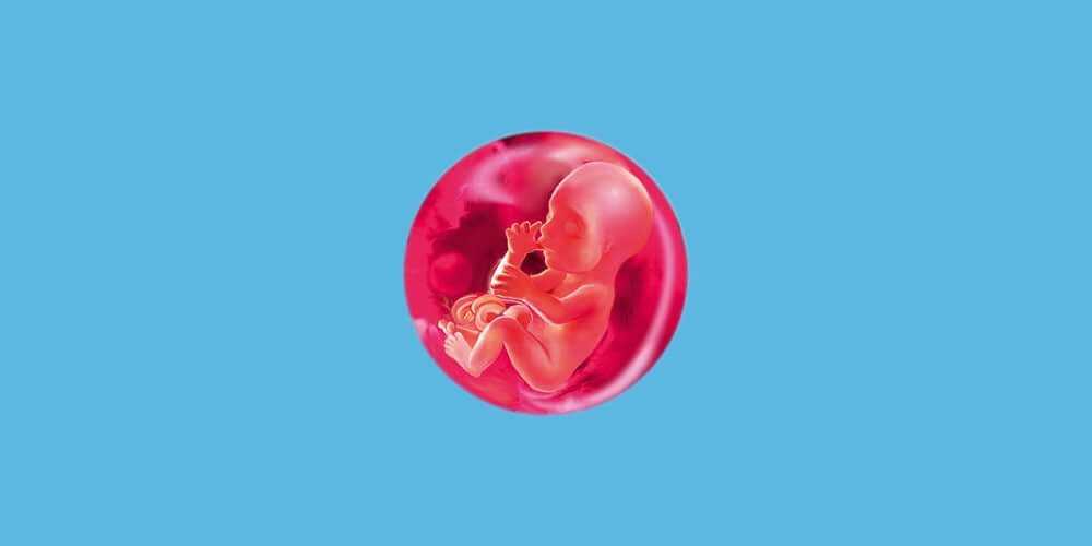 Новорожденный малыш: первые 4 недели жизни