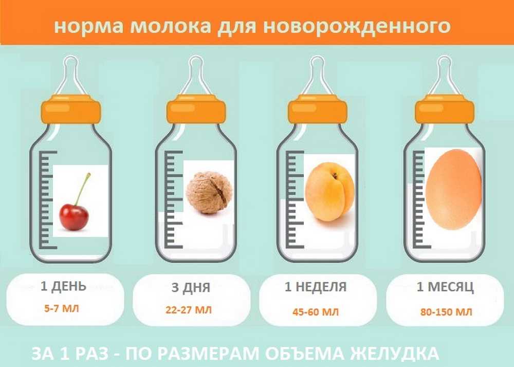 Сколько должен съедать новорожденный