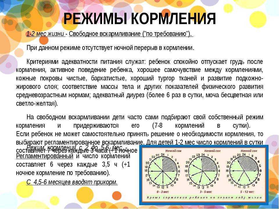 Кормление по требованию или по часам: врачи рассказали, как правильно - parents.ru