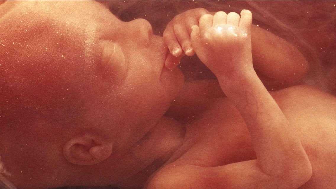 Новорожденный ребенок  – 4 неделя развития