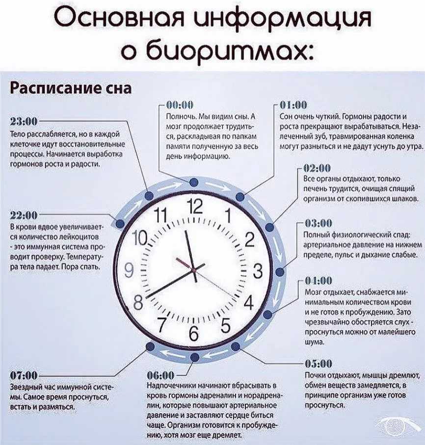 Ребенок-жаворонок: как поспать с утра подольше - parents.ru