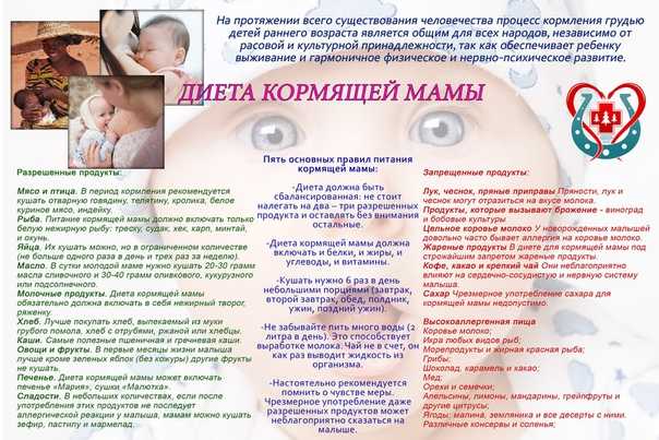 Кормление новорожденного грудью, преимущества, советы и отзывы