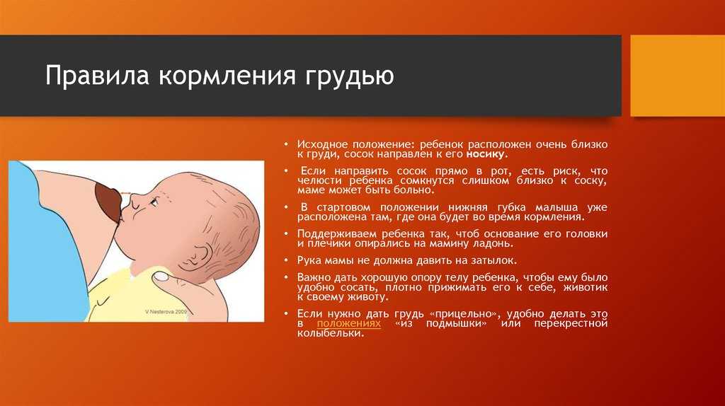 Правила успешного грудного вскармливания » медицинская академия "генезис" клиника на ленинском 131