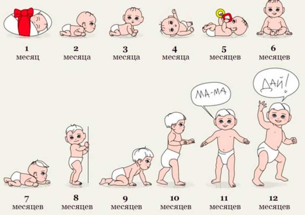 Развитие новорожденного по неделям после рождения: первый год жизни малыша