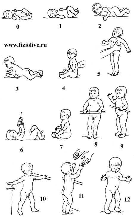 Гимнастика и массаж для грудничков с первых дней жизни: комплекс упражнений в 1, 2 и 3 месяца