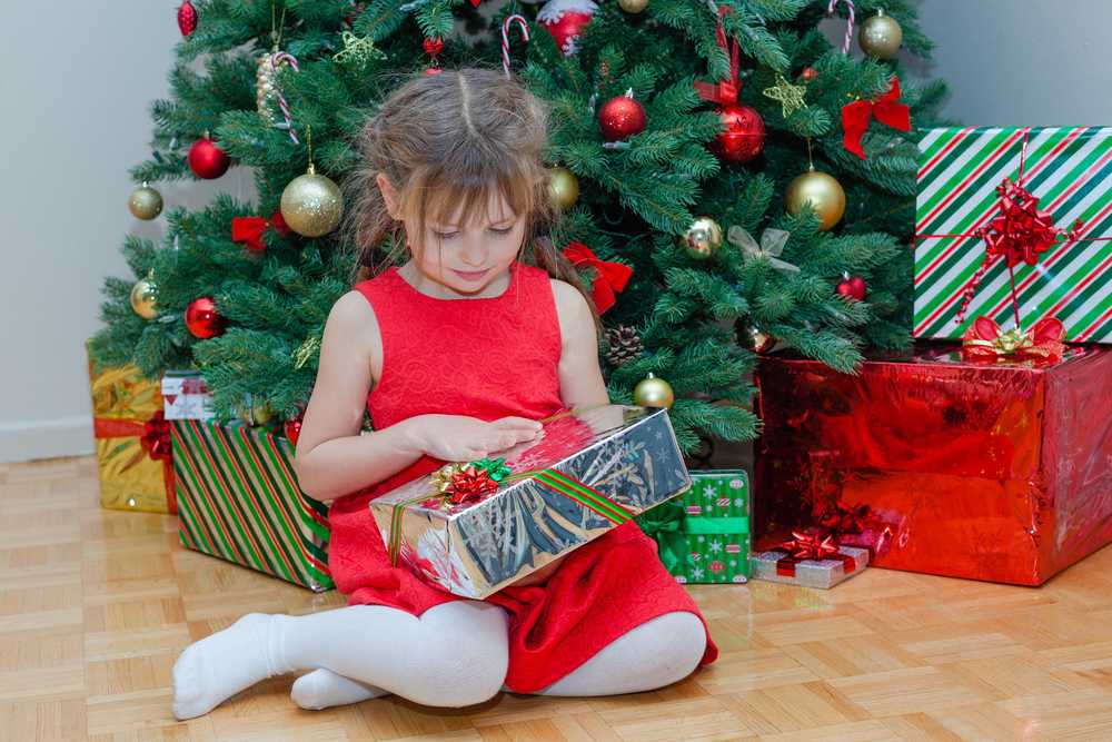 Что подарить мальчику 3 лет на новый год: топ-8 идей необычных подарков