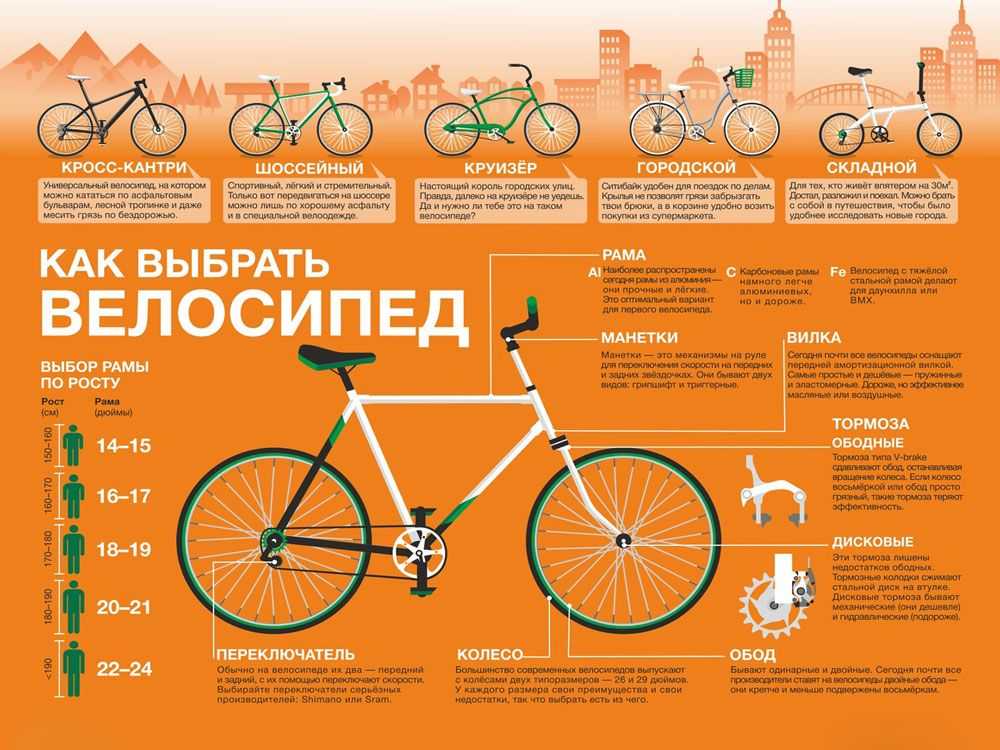 Как выбрать детский велосипед - статьи velozona