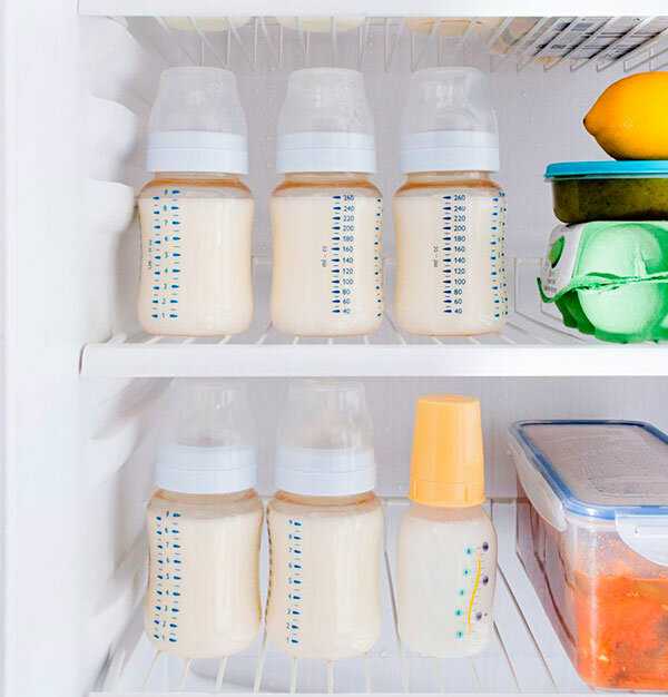 Сколько хранится грудное молоко в холодильнике: правила хранения сцеженного продукта, как долго по времени (срок в днях и часах), как правильно?