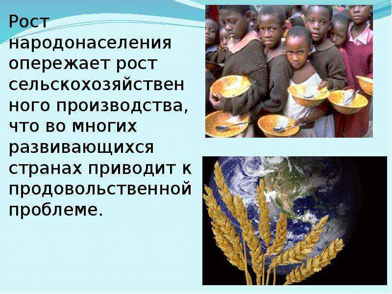 Недоедание у детей - undernutrition in children - abcdef.wiki