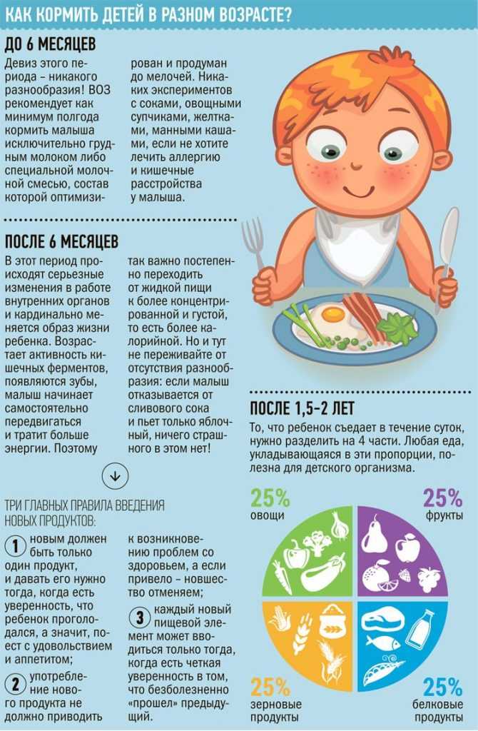 Как заморозить детское питание- энциклопедия детское питание
