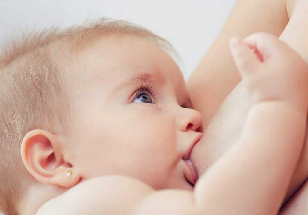 Как правильно кормить малышей грудью: основные правила | уроки для мам