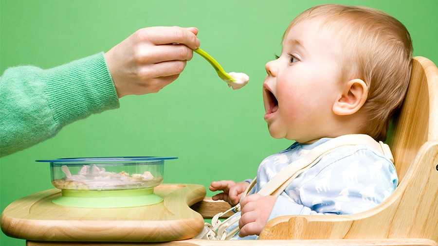Питание ребенка по месяцам - подробное описание меню и советы по готовке блюд