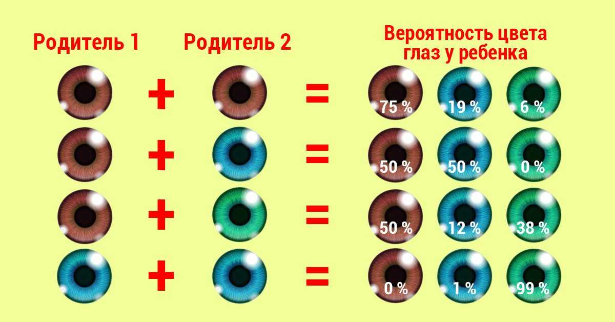 От чего зависит цвет глаз у человека: таблица зависимости. как наследуется цвет глаз. как передается доминантный цвет глаз