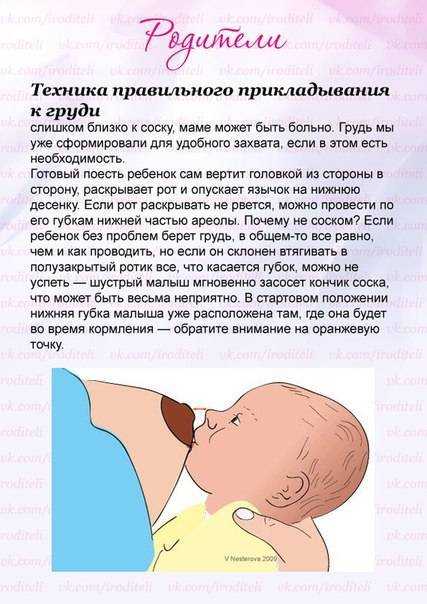 Как правильно кормить новорожденного грудным молоком | уроки для мам