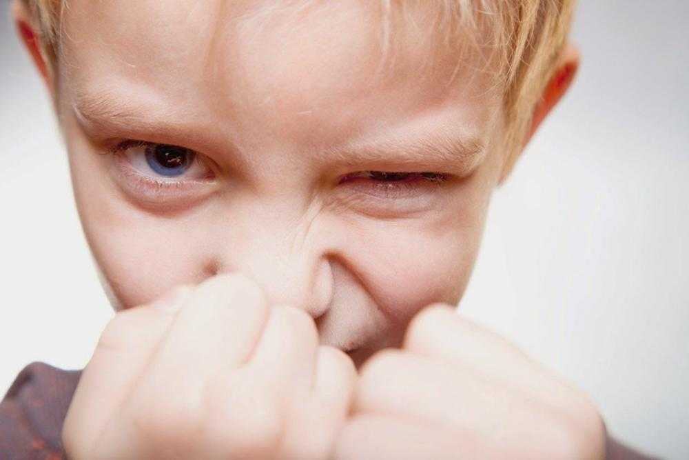 Детская агрессия: что это, какая она бывает и как предупредить агрессивное поведение ребенка?