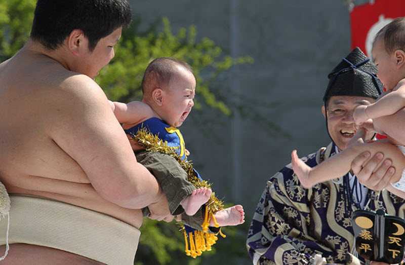 «наки сумо»: чем интересен фестиваль плачущих младенцев в японии?