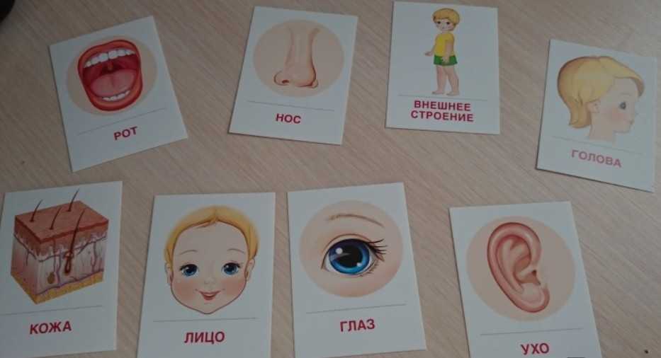 Пальчиковые игры для малышей до года + стишки для изучения частей тела и лица – жили-были