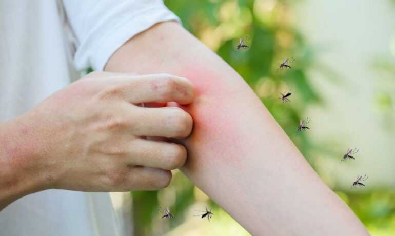 Аллергия на белок | энтеросгель
