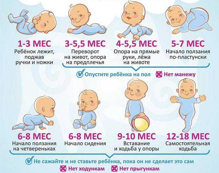 Малышу 3 месяца: период адаптации