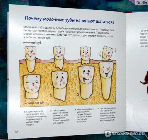Лечение молочных зубов Томск Офицерский Пластиковые брекеты Томск Озерный