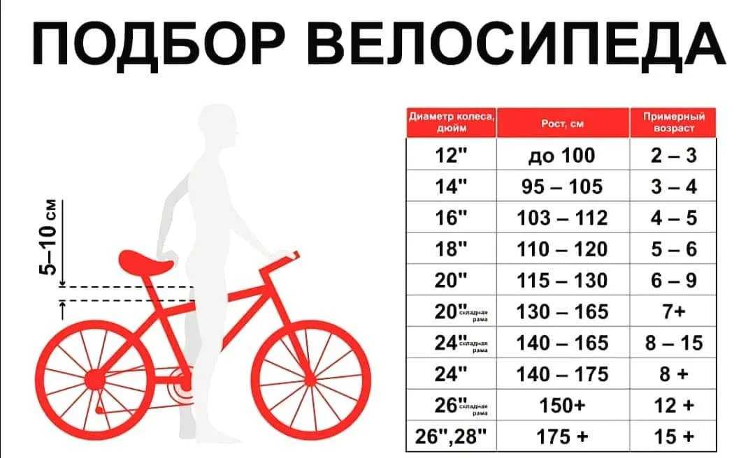 Как выбрать правильный велосипед ребенку или подростку разных возрастных категорий, обзор моделей