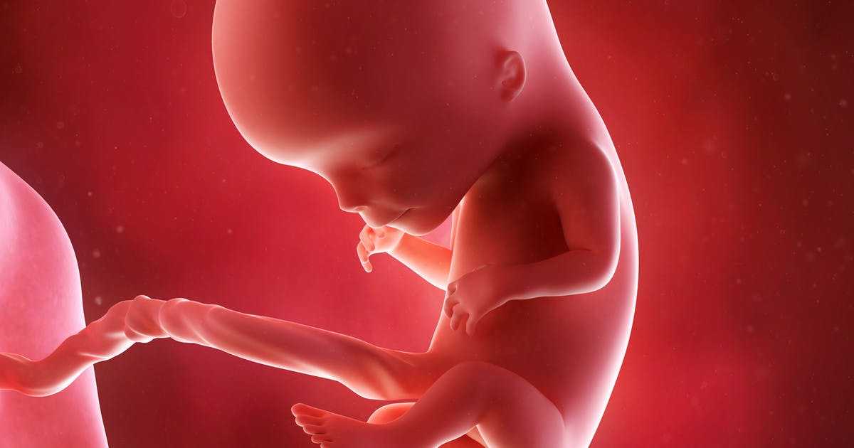 1 месяц 4 неделя развития ребенка | мамоведия - о здоровье и развитии ребенка