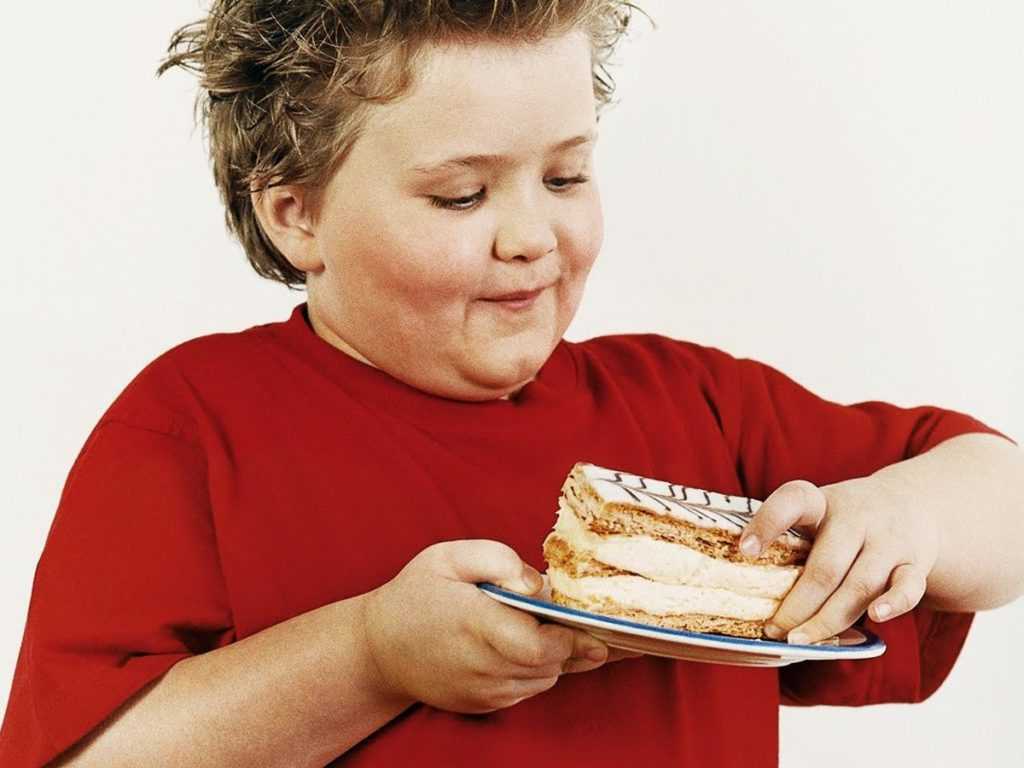 Ожирение у детей. возрастные этапы развития. 1 год – 7 лет.