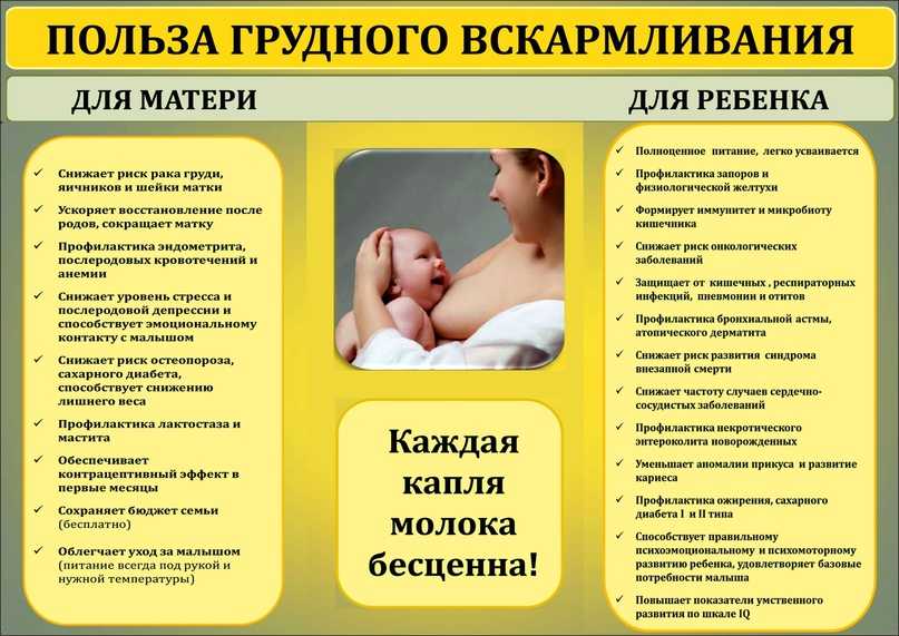 Грудное вскармливание в общественных местах - breastfeeding in public - abcdef.wiki