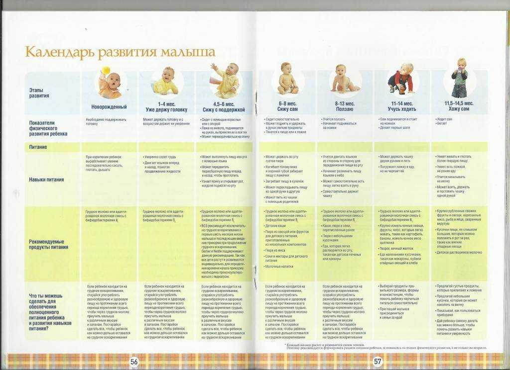 Психическое развитие детей: 0-6 мес. 6-12 мес. 1-2-3 года. 5 лет. отклонения развития - клиника israclinic