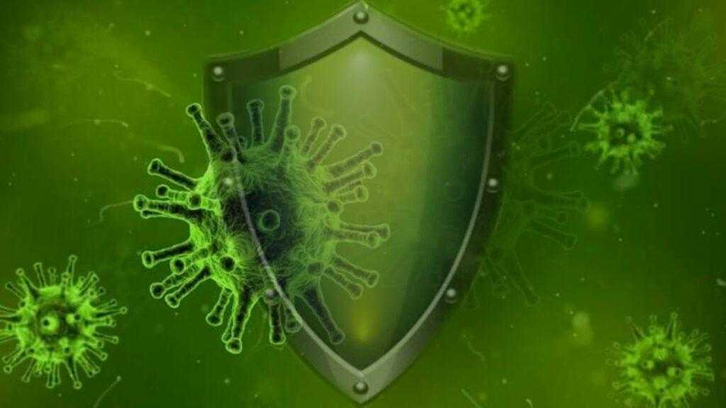 Что такое коллективный иммунитет и сможет ли он спасти человечество от коронавируса | заборона