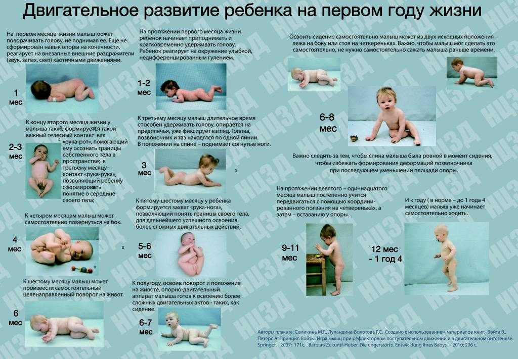 Развитие ребенка в 2 месяца - мапапама.ру — сайт для будущих и молодых родителей: беременность и роды, уход и воспитание детей до 3-х лет