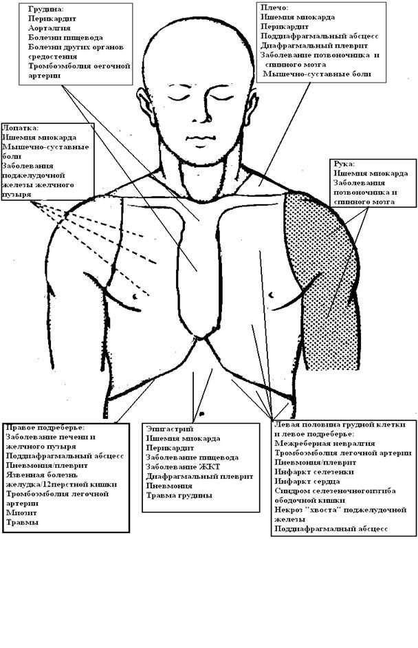 Правом груди болит. Болит верхняя часть грудной клетки посередине спереди. Боль справа в грудине спереди вверху. Ноющая боль в центре грудной клетки спереди. Болит в области грудины левее спереди.