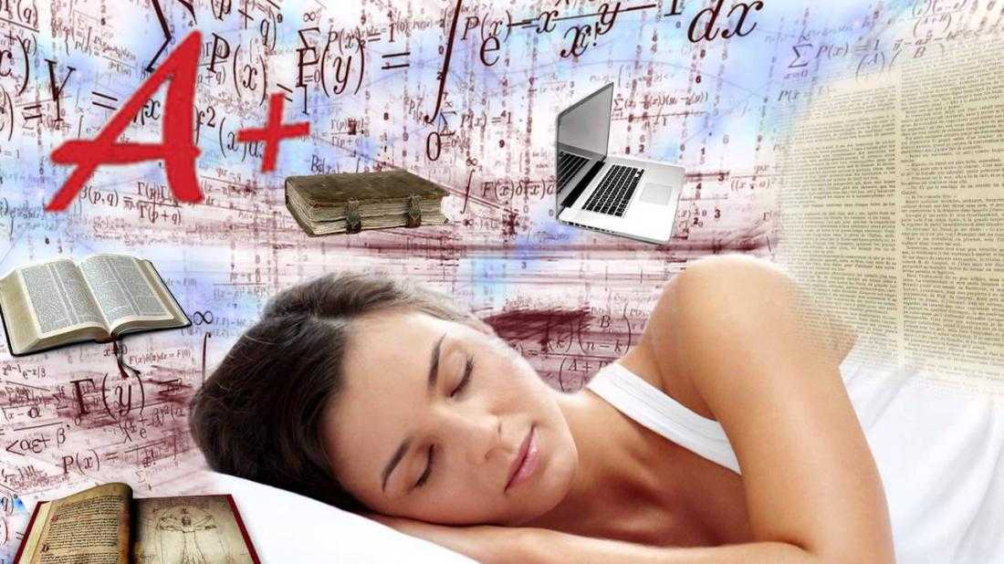Наука о сне. кто познает тайну сна – познает тайну мозга! читать онлайн мишель жуве  (страница 2) | knizhnik.org