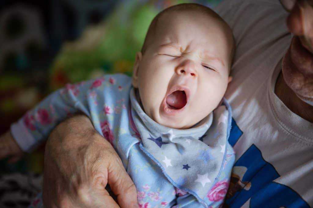 14 забавных фотографий, которые возможно вызовут у вас подражательное зевание