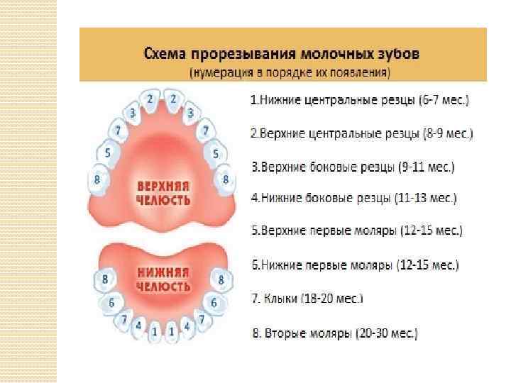 Лечение молочных зубов Томск Встречный Импланты Astra Tech Томск Некрасова